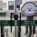 빌리지 | 울산 성남동 놀거리 데이트코스 펫빌리지 후기