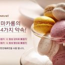 마카롱코코 이미지