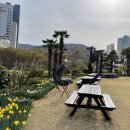 아지랑냉이랑 이미지