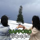 지니트리팜 | 겨울 삿포로여행 비에이 투어 코스 예약 후기