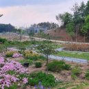 도곡2리 이미지