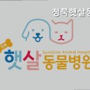청북 햇살동물병원 이미지