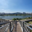 양화 금강변 네이버블로그
