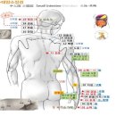 5 수소음 심경락 소장경락 이미지