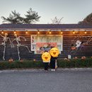 청풍호오토캠핑장 | 충북 제천 청풍호오토캠핑장 힐링 후기