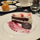 씨앤디펫샵 이미지