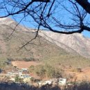 (주)산양미트
