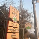 달빛고기 이미지