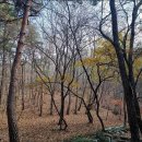 모차르트의 겨울낙엽, 아기들 방이 춥지 않을까 걱정하며 돌아다녀 이미지