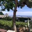 제주풍경스케치 이미지