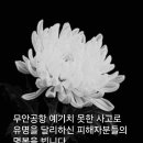 삼가고인의명복을빕니다 이미지