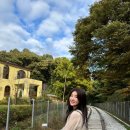 30대 데일리 출근 가방 백팩 추천 - 카디널레드 하우아백 블랙 골드 (6개월 사용 후기)