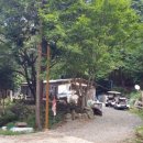 하동편백자연휴양림 이미지