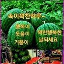 굿모닝 ㅡ뜨거운 날씨에도 ㅡ밝고 긍정적인 생각으로ㅡ하루를 여는 아침 입니다ㅡ 이미지