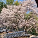 밀양향교 이미지