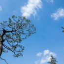 물향기공원 이미지