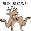 방방랜드어린이놀이터