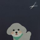 하이몽 애견미용실 이미지