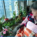 예지 요양원 이미지