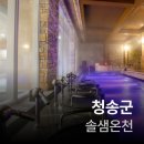 청송 | 청송여행(소노벨청송 솔샘온천 이용후기)