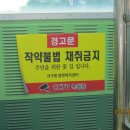 복주여자중학교 이미지