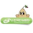 인삼로 이미지