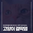 미사동물병원 이미지