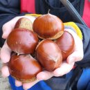 장사농장 이미지