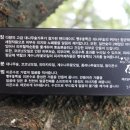 계수나무핸드메이드