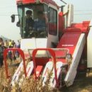 김호농장 이미지