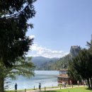 블레드 | 슬로베니아 블레드 호수 후기 (23년 10월)