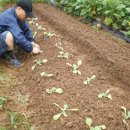 태환농장 이미지