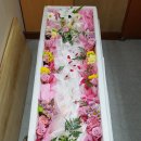용인납골당