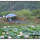 원관원제 이미지