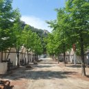 플로렌스 글램핑&캠핑 이미지