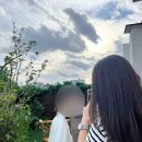 아비넹뜨스튜디오
