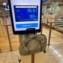 정희옥스시내서점 | 5주동안 유럽여행 1-카타르항공 타고 로마가기