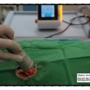 소망동물병원 이미지