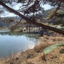 백곡면사무소 이미지