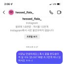 헤쎄드플라라 이미지