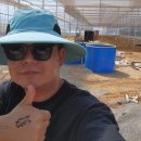 정위농장 이미지