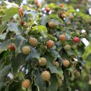 우리유황온천 이미지