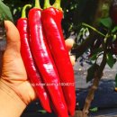 예닮농장 이미지