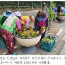 돌산읍우두출장소 이미지