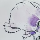 편지다방 이미지