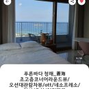 블루12속초테라 이미지