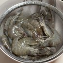 신구빌라 | 9월일상(2)