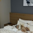 원주센트럴호텔 | 원주 센트럴 호텔 27개월 아기랑 묵은 후기 (프리미엄룸, 조식포함)
