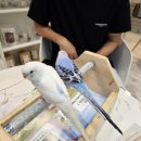 삼정게임랜드 이미지