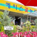 에이스농장 네이버블로그